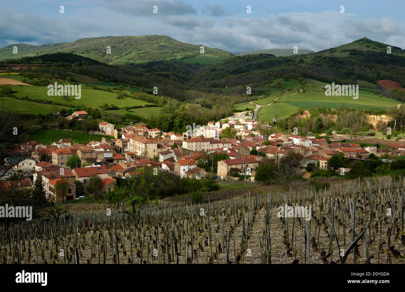 Dorf von Boudes und Weinberg, Puy de Dome, Auvergne, Frankreich Stockfoto