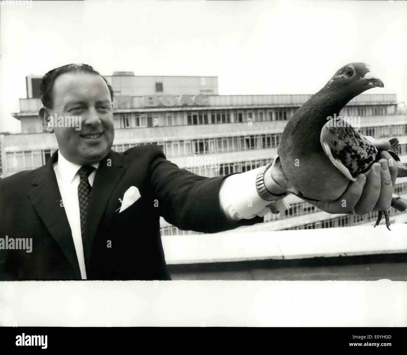 6. Juni 1970 - B.O.A.C.Sends Fehlermeldung Luft... Durch die Taube: Mr. Ted Smith, Großbritannien Sales Manager für BOAC Sen als er eine Taube aus dem Air-Terminal im viktorianischen heute veröffentlicht. Die Taube trägt eine Botschaft, die es direkte Links in Derby dauert-diese Nachricht dann gelangen zu einer Party, die neue BOAC Agenten im Derby - durch Davel und Rufford statt in neue Flüge nach Derby zu feiern. Stockfoto