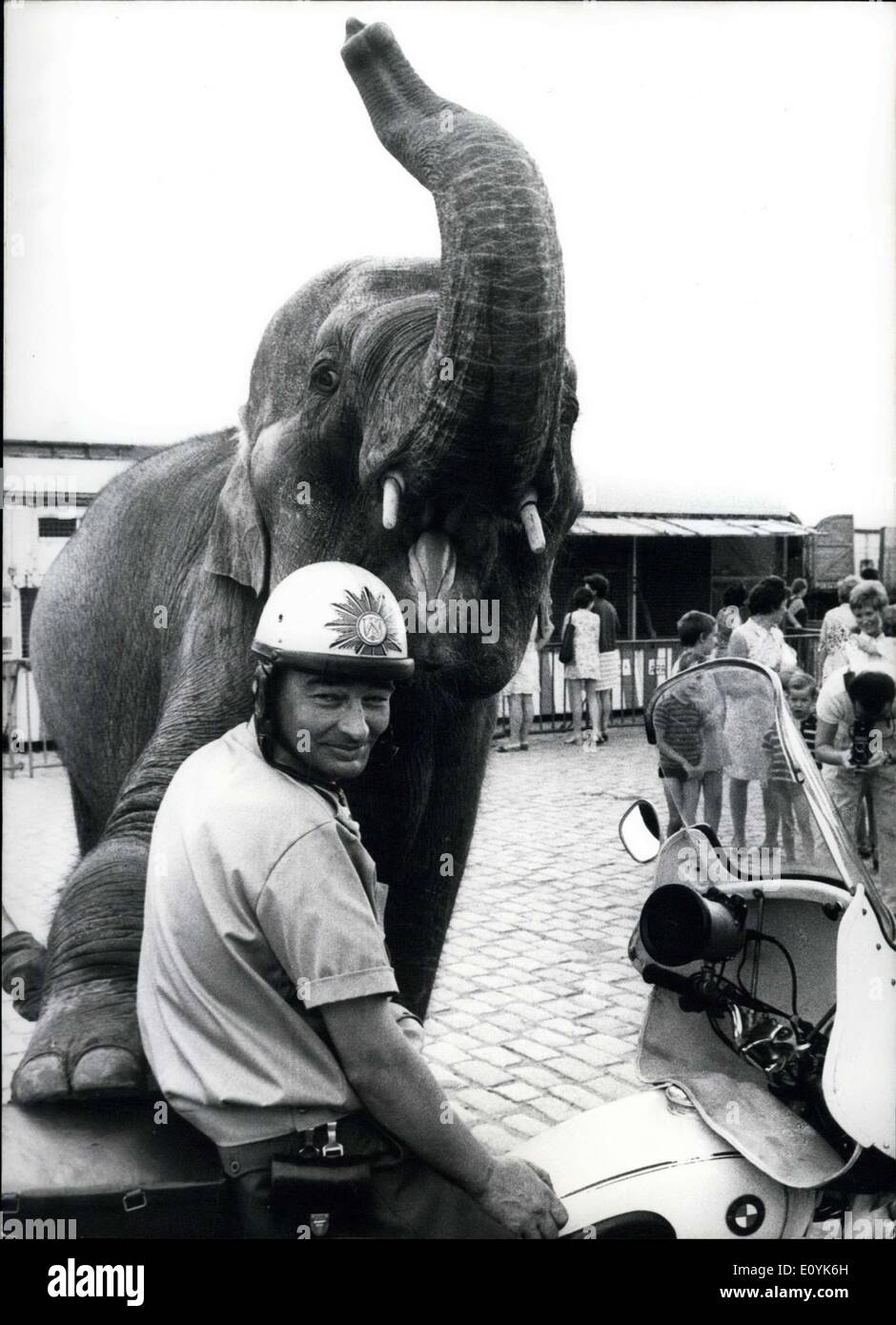 6. August 1970 - '' Hallo, kleine "weiße Maus".: wollen Sie mich begleiten? Ich bin unbekannt hier und ich würde sehr gerne in dir anvertrauen. In Ordnung? Gab es wirklich keine Notwendigkeit für die Einladung von diesem freundlichen Dickhäuter als '' weiße Mäuse '' - wie die Düsseldorfer Polizei genannt wird - auf dem Güterbahnhof Oberkassel in Düsseldorf sowieso führen die 13 '' schwere Gewichte '' des Circus Krone ihre '' Campingplatz '' kam auf der Rheinwiese. Der Circus Krone in Düsseldorf vom 5. August 1970, 17. August 1970 zu sehen Stockfoto
