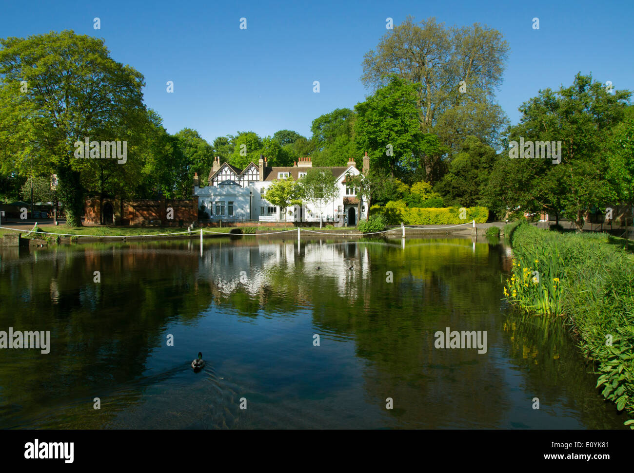 Großbritannien, England, London, Carshalton Teiche Stockfoto