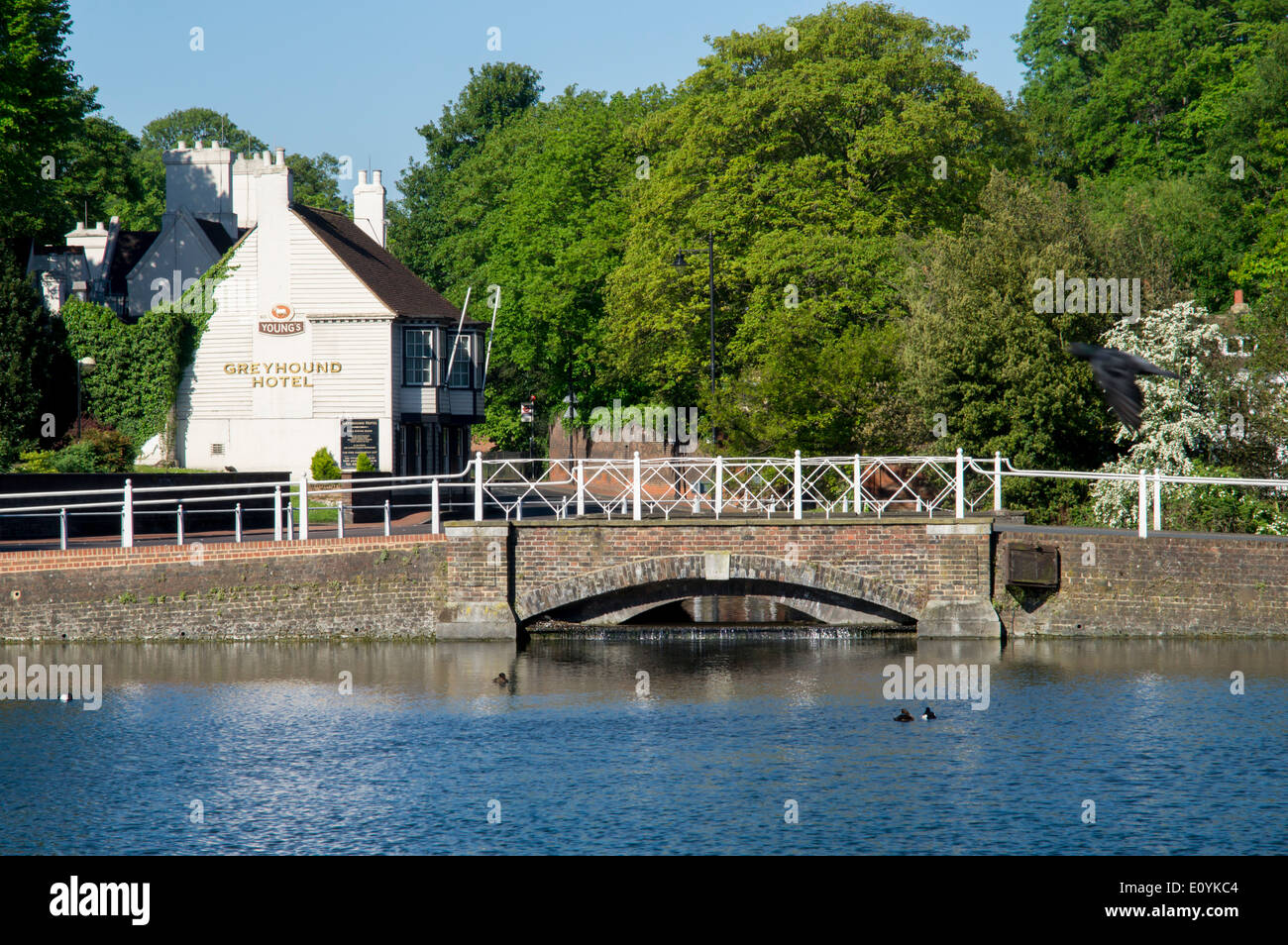 Großbritannien, England, London, Carshalton Teiche Stockfoto