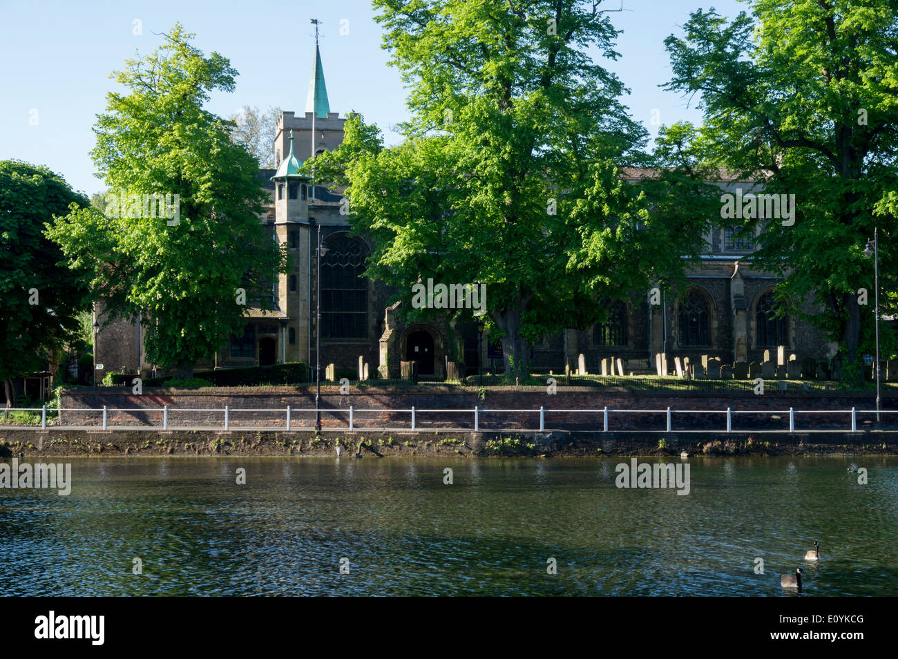 Großbritannien, England, London, Carshalton Teiche Stockfoto