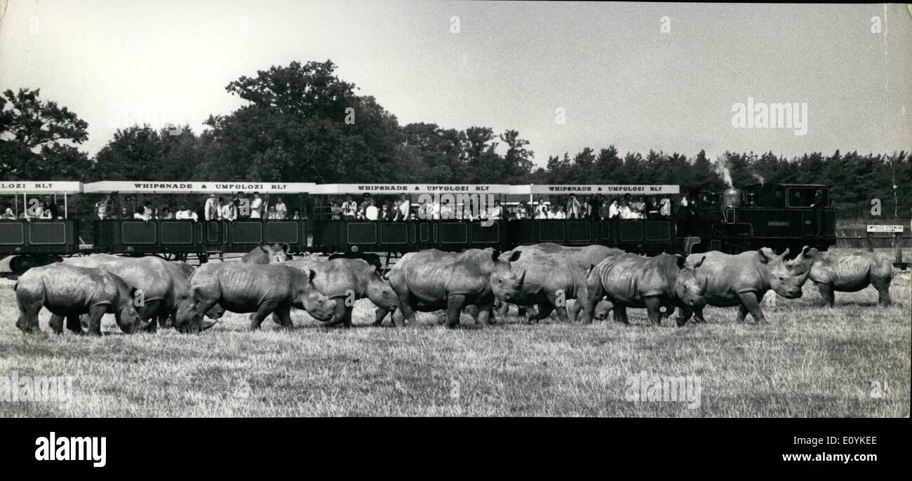 8. August 1970 - spezielle Eisenbahn zu sehen die Nashörner in Whipsnade: Heute ist der Whipsnade und Umfolezi Eisenbahn Dampf aufstehen, um Besucher durch eine große und spannende neue Gehege zu nehmen, wo 22 Breitmaulnashörner wie auf den Ebenen ihrer südafrikanischen Heimat Ries. Die Dampfmaschine Chevallier, im Jahre 1915 erbaut und mit einem Gewicht von 27 Tonnen zieht der Zug, der Besucher eine Nahaufnahme von diesem herrlichen Spektakel gibt. Die harte weiße Rhinos besteht aus 8 Männer und 14 Frauen. 20 vor kurzem angekommen Whipsnade Zoo von Natal, an das Paar, die es seit 1967 Stockfoto
