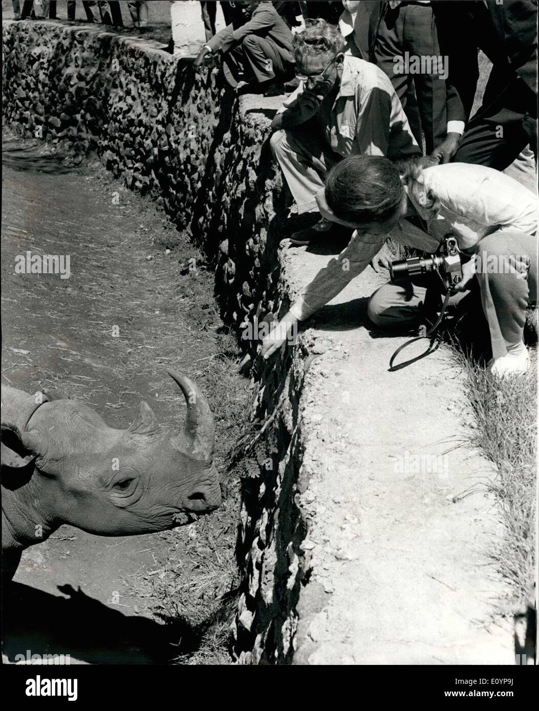 2. Februar 1971 - Prinzessin Anne auf Safari Foto zeigt:-Prinzessin Anne, die auf einer zweiwöchigen Safari in Kenia mit Prinz Charles, Freundschaften mit einer Rhinocerce in Nairobi National Park zu sehen ist. Stockfoto