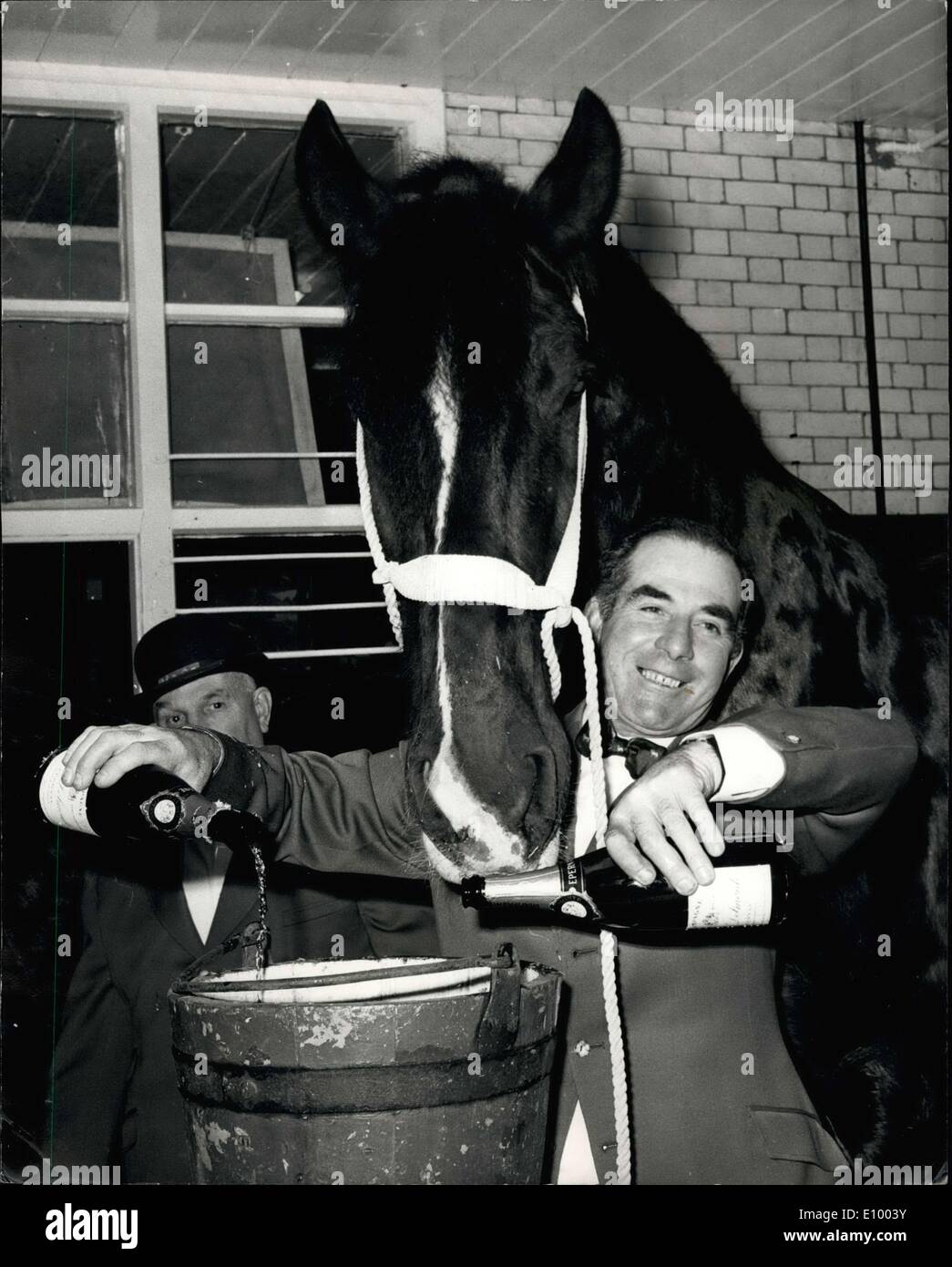 1. Januar 1972 - Pferd-Keeper fo Kopf eines jungen Brauerei verliehen die B.E.M feiert eine Doppelveranstaltung - er ist 50 heute.: Harry Ranson, Leiter Pferd-Keeper der Youngs Brauerei in Wandsworth, hatten eine richtige Riyal Champagner-Party im Stall heute - aus zwei Gründen: Es ist in seinen 50. Geburtstag und erhielt er die British Empire Medal in Queens Birthday Honours , heute veröffentlicht. Und weil alle Pferde ihr Alter berechnet von links, 1. haben. Januar jedes Jahres, es war der "Geburtstag" auch für 24 Shire Horses an junge "Brauerei Stockfoto