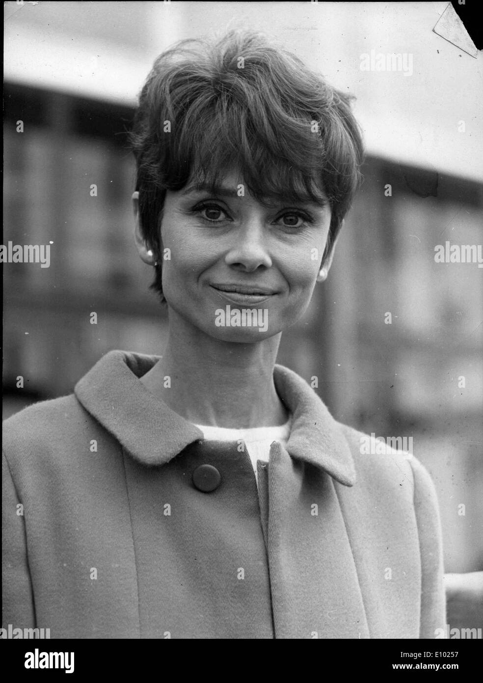Porträt der Schauspielerin Audrey Hepburn Stockfoto