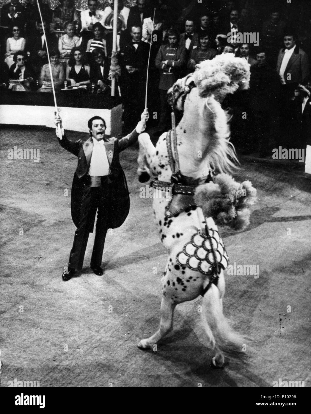 Schauspieler Marcello Mastroianni führt im Zirkus Stockfoto