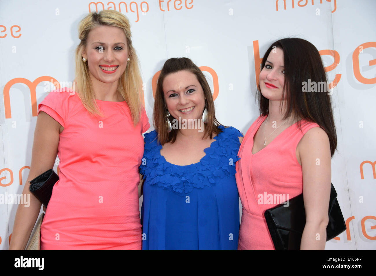 London, UK. 20. Mai 2014. Gäste besucht speichern wilde Tiger Abendessen im Mangobaum in Hilfe sparen wilde Tiger am Grosvenor Place in London versteigert. Foto: siehe Li/Alamy Live News Stockfoto