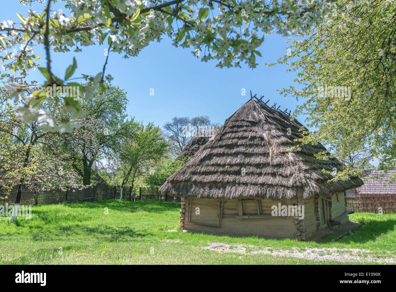 altes Haus, ukrainischen und Kirschbaum Stockfoto
