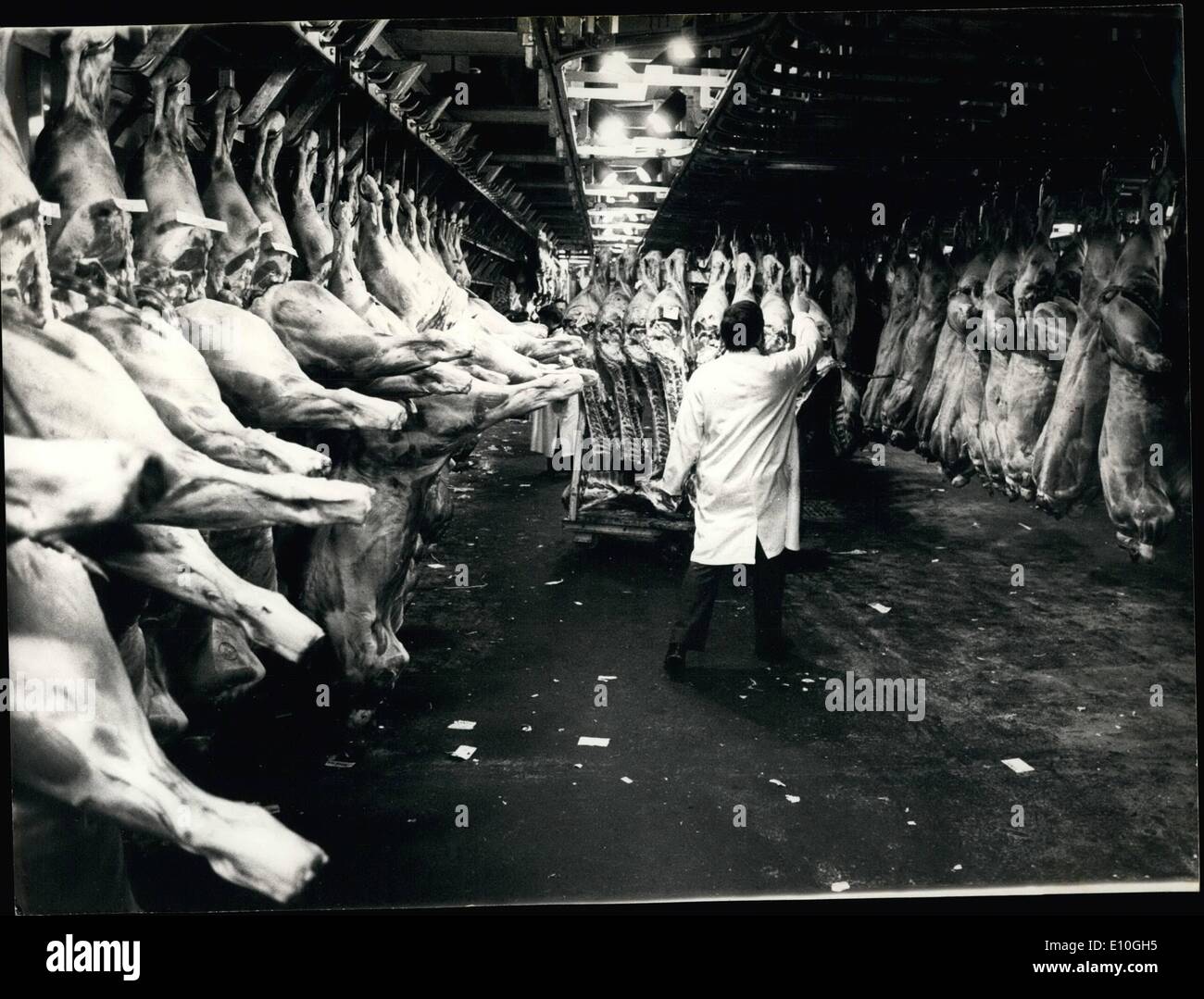 1. Januar 1973 - zog alle der Metzger von Les Halles Centrales in Paris auf dem '' Produkte Fleischmarkt '' in Rungis. Hier ist Stockfoto