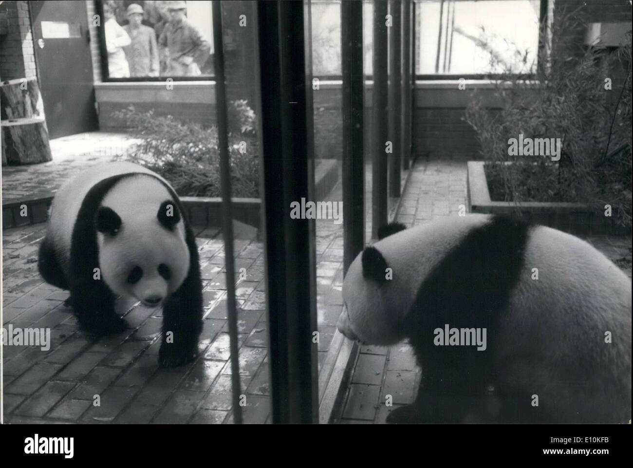 05. Mai 1973 - Tokyos Pandas ziehen in New 60,000 ''Home'' um.: Die beiden riesigen Pandas Kangkang und Lanlan, die China Japan in diesem Jahr nach der Erneuerung der freundschaftlichen Beziehungen zwischen den beiden Ländern präsentiert hat, wurden in neue Stifte verlegt, die 60,000 kosten, um sie zu bauen. Das neue "Home" umfasst 154 Quadratmeter. Es ist klimatisiert und verfügt über Fußbodenheizungen, Glaswaschsprays und Schallisolierung. Es gibt auch einen 223 Quadratmeter großen Spielplatz und Duschen, sowie einen speziellen Stift für Baby Pandas Stockfoto