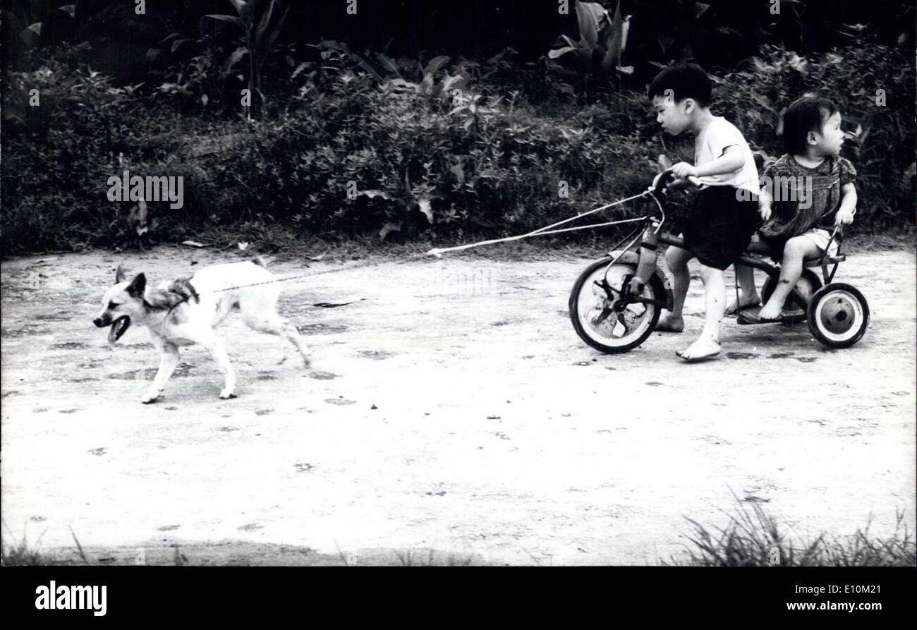 28. Mai 1973 - was für eine Art, ihren vierbeinigen Freund zu behandeln! Um zu vermeiden, ihre Dreirad fahren, habe diese chinesischen Kinder ihren Hund vor ihren imaginären Schlitten. Formosa (das Foto Ursprung) ist nicht Lappland jedoch und little Tyke ist kein Schlitten Hund, der dieses Spiel zu spielen. Auf diese Weise wird nicht sie sicher ihr Ziel erreichen! Stockfoto