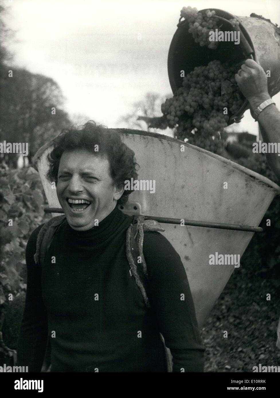 24. Oktober 1973 - Jacques Martin in den Cognac Weinbergen Trauben pflücken Stockfoto