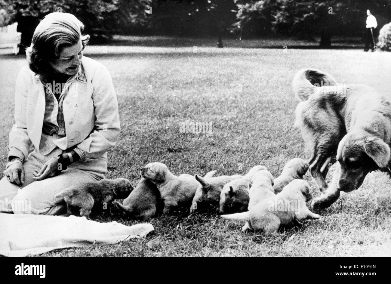 First Lady Betty Ford mit ihren Hunden im Weißen Haus Stockfoto