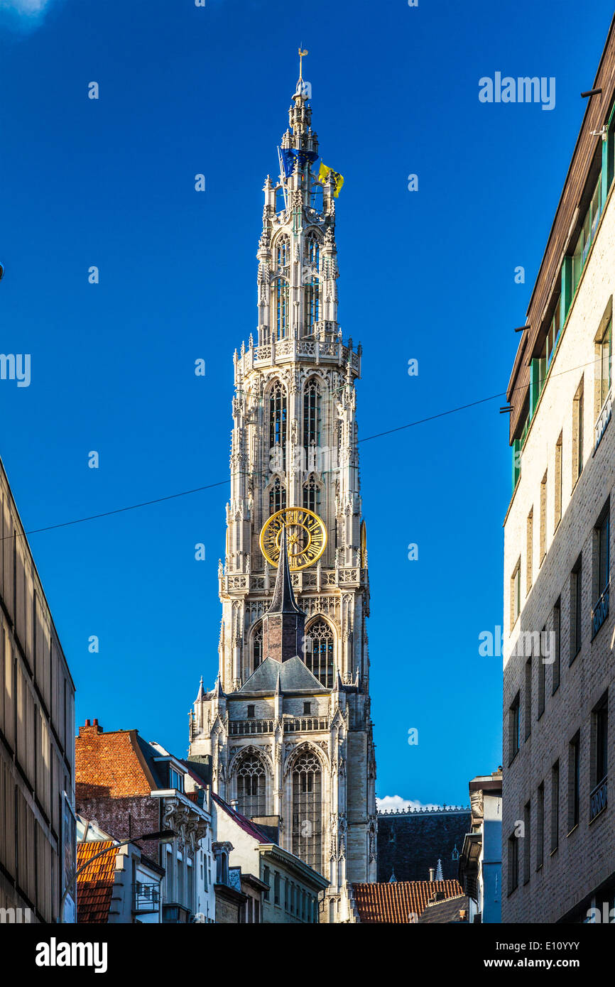 Sehen Sie unten die Oude Koornmarkt in Richtung der Turm der Kathedrale von Notre-Dame in Antwerpen. Stockfoto