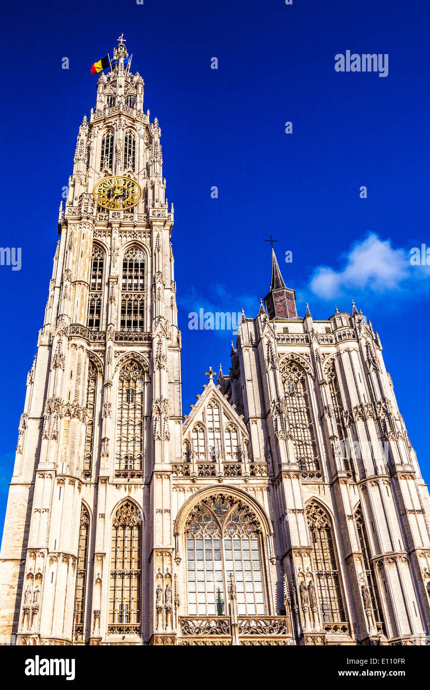 Die gotische Kathedrale unserer Dame in Antwerpen. Stockfoto