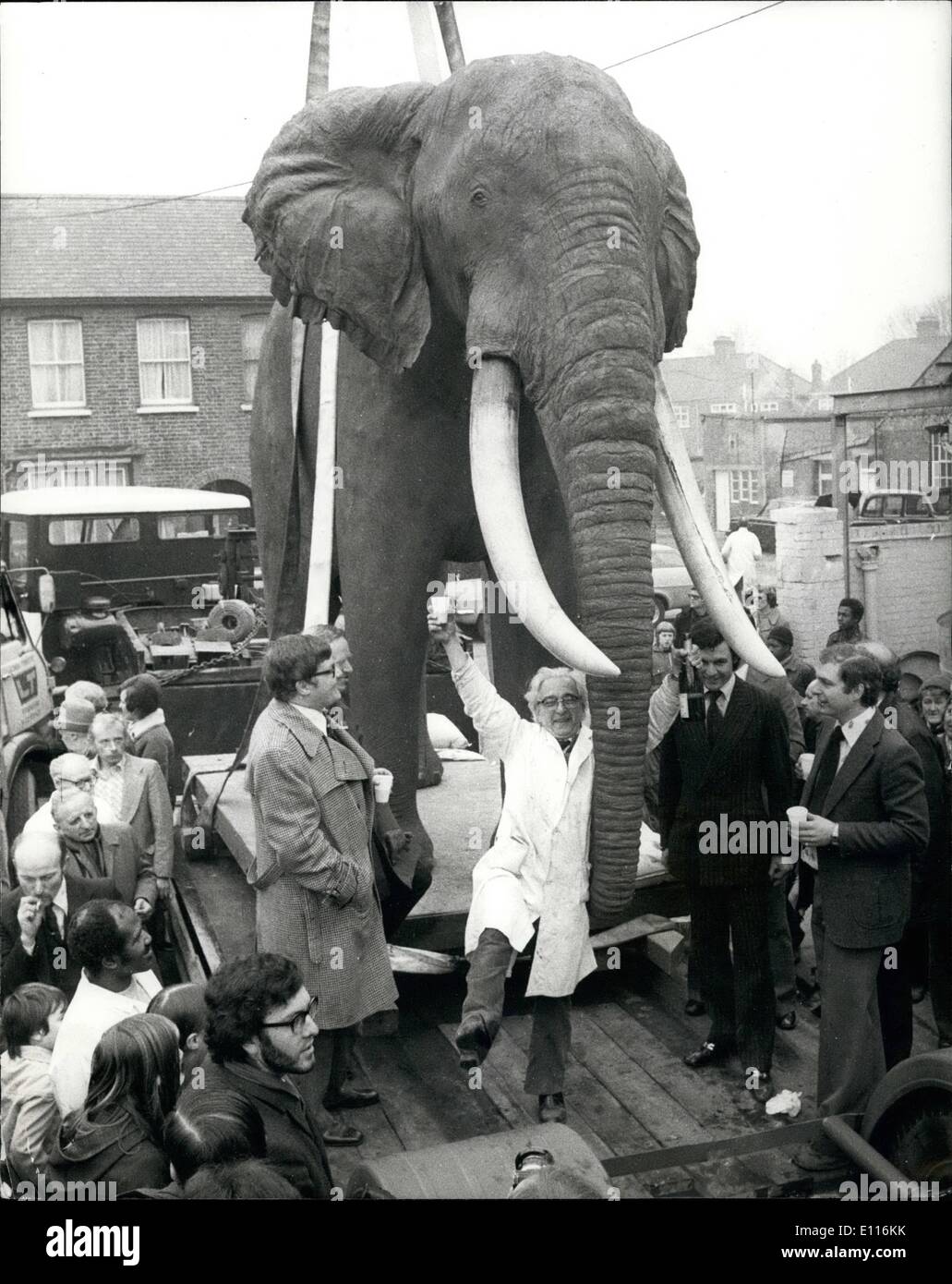 20. Februar 1976 - 20. Februar 1976 Präparator löst ein Jumbo Größe Problem. Präparator Rowland Ward von Crawley Straßen-, Wood Green, London, wußten, daß sie ein Jumbo Größe Problem am Tag sie das Fell eine 40 Jahre alte afrikanische Elefantenbulle erhalten, die für die Royal Scottish Museum in Edinburgh gefüllt werden musste. Nun, acht Monate später, wieder zusammengesetzt Elefant, mit einem Gewicht von 1,5 Tonnen, und Maßnahmen 12 Fuß an der Schulter und musste mit einem Kran durch das Dach des Rowland Ward Workshop Winde werden die für diesen Anlass entfernt werden musste Stockfoto