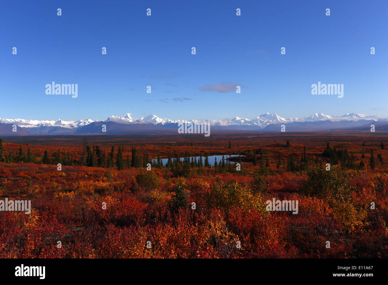 Altweibersommer auf Alaska Stockfoto