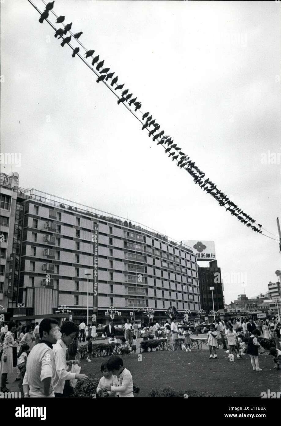 7. Juli 1976 - aufgereihten für Popcorn. Tauben-Line-up auf overhead elektrische Kräfte Linien warten auf Tokio Kinder Popcorn auf einer Open-Air-Grundstück Gras in Ikebukero, einem Teil der Stadt zu verbreiten. Die meisten Tauben verlassen haben das Zentrum von Tokio, wo sie ein Ärgernis geworden und von Trappern ausgedünnt werden musste und die Überlebenden haben an den Stadtrand von Tokio geflogen, wo gibt es mehr zu Beizen. vor allem von den Kindern, die Mitleid mit der '' Hattopopos'', Japanisch für Tauben. Stockfoto