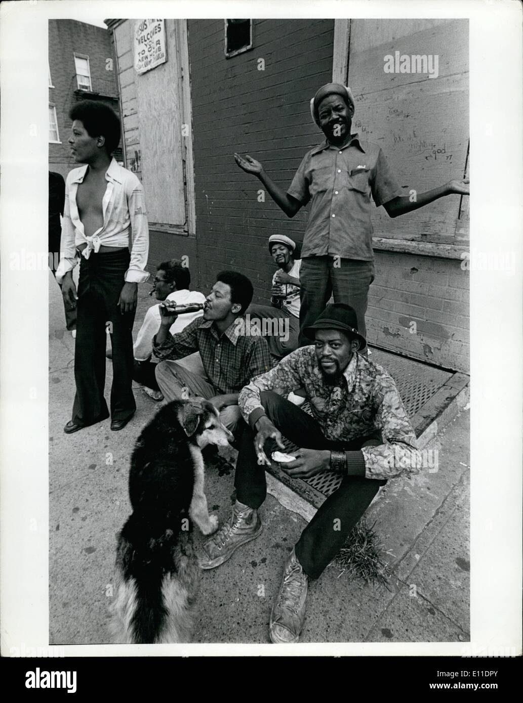 8. August 1977 - Block arbeitslos herumhängen im Abschnitt Bushwich Brooklyn trinken. Stockfoto
