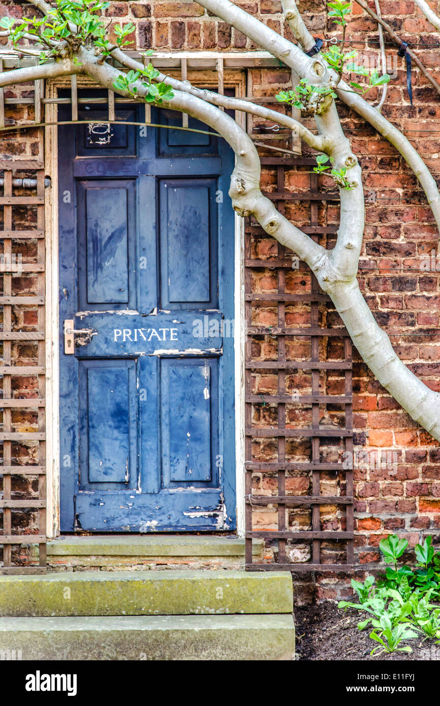 Privathaus blau Tür Stockfoto