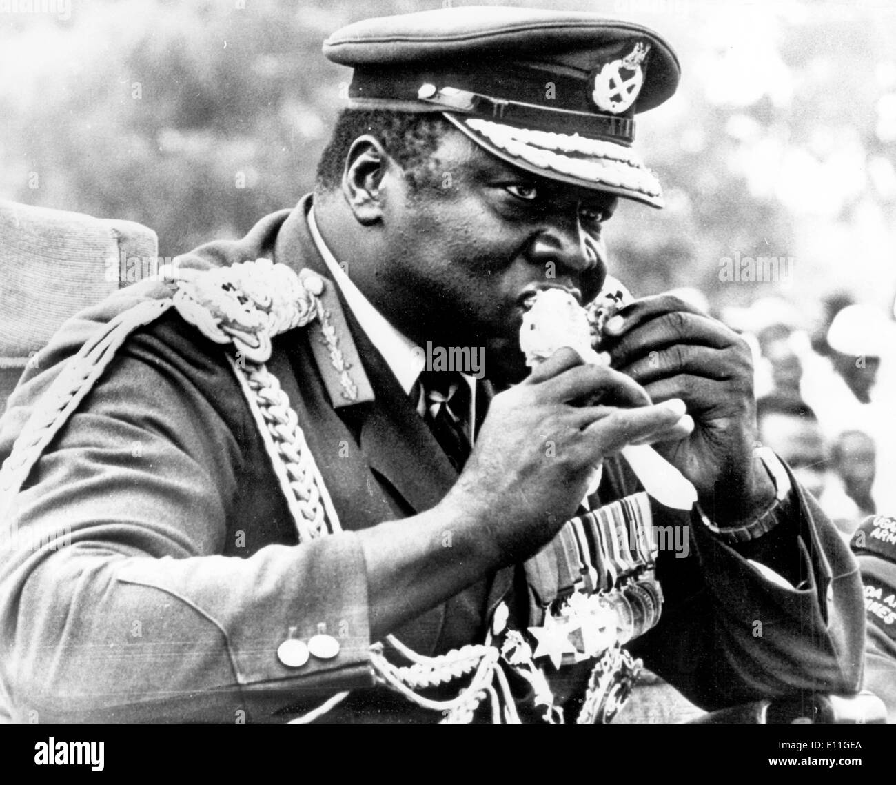 31. Januar 1978; Koboko, Uganda; Während der Feierlichkeiten zum 7. Jahrestag der seinen militärischen Coup, Leben Präsident IDI AMIN, nimmt Eroberer des britischen Reiches und Oberbefehlshaber der Streitkräfte große Bissen am Brathähnchen Schenkel beim Betrachten der Parade in Koboko, Uganda. Stockfoto