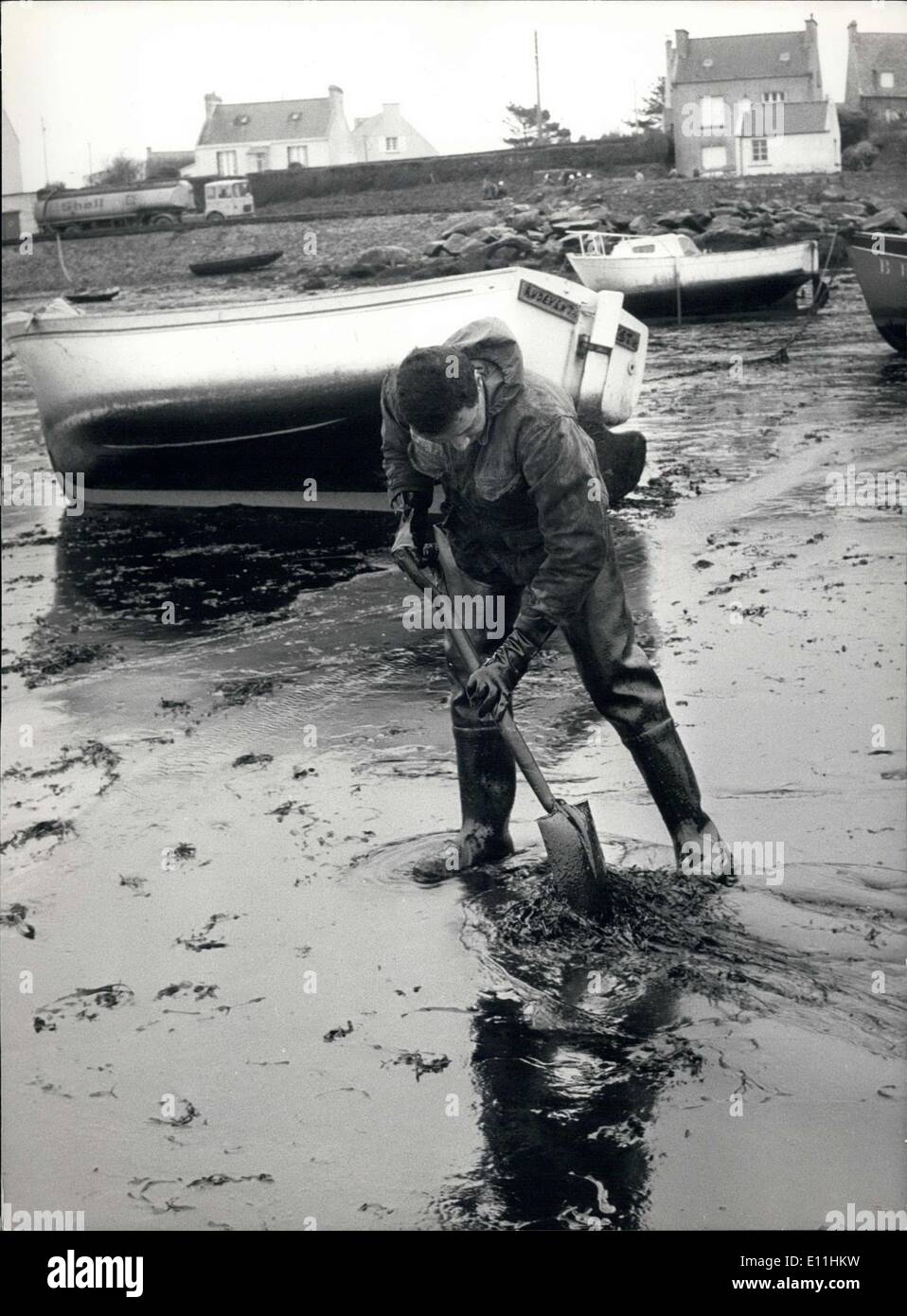 27. März 1978 - Säuberung der bretonischen Küste, nachdem die Amoco Cadiz Ölpest ESS. Stockfoto