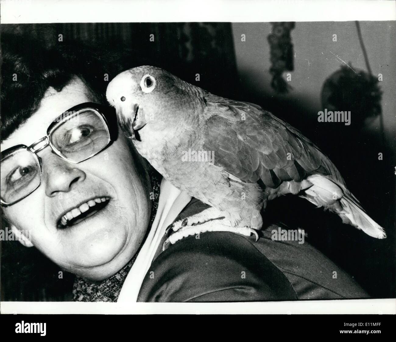 2. Februar 1979 - Pretty Polly rettet den Tag: Rechtsgeschichte war vor kurzem in Dänemark, wenn ein Papagei Polizei zu einer Festnahme geholfen. Das Tier wurde gefunden auf der Schulter eines Mannes auf der Straße liegen. Sie wurden sowohl auf die Polizeiwache genommen, wo der Mann erwies sich als zu berauscht zu sprechen. Der Papagei, der als Jacob angekündigt, informierte die Polizei, dass er von Hertha gehörte. Dies erwies sich als den Namen des Besitzers eine Tierhandlung, die einen Einbruch von einem Dutzend Papageien und etwa dreißig Wellensittiche erlitten hatten. Jakob konnte leider keine weiteren Hinweise auf den Diebstahl bieten. Stockfoto