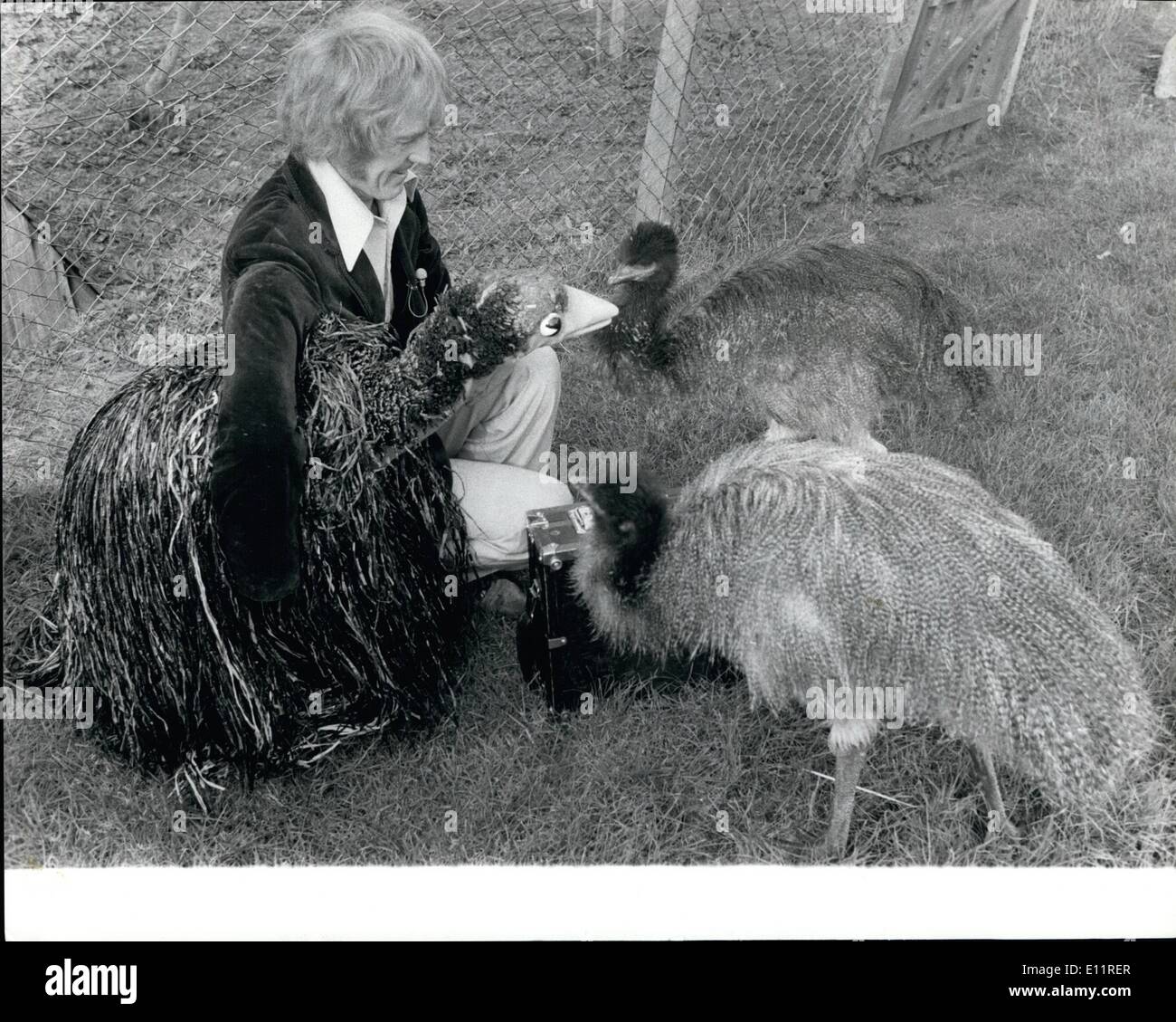 10. Oktober 1979 - Roy Hull EMU trifft ihr Spiel: EMU, der Marionette Vogel von Roy Hull, bekam den Vogel gestern bis inszenierte er zwei Emus, und er bekam kaum ein Küsschen in seinem echter Graf Teile im Laufe der Show zum ersten Mal in ihrem neuen Haus in Drusillas Zoo Park, Touristenort, East Sussex. Sie wurden in den Zoo von Oakland Zoo in der Nähe von San Francisco vorgestellt. Stockfoto