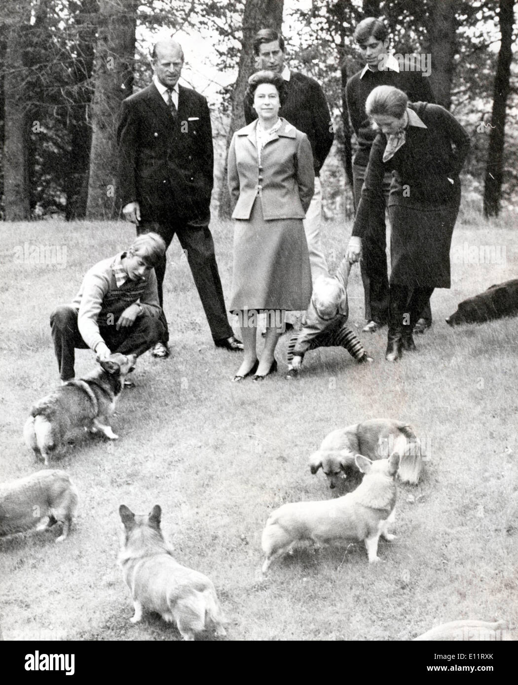 Königin Elizabeth II und Familie spielen mit den Hunden Stockfoto