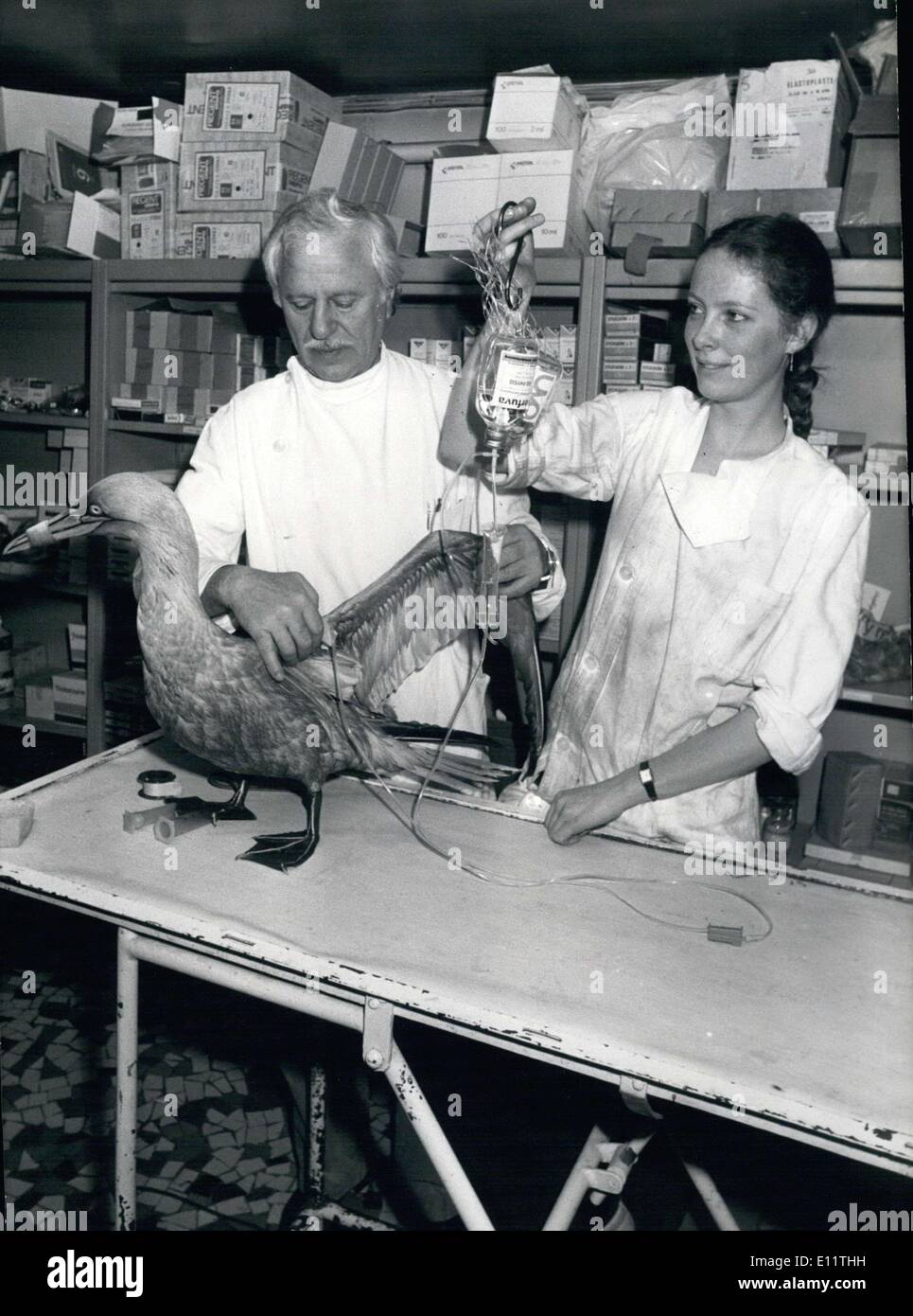 20. März 1980 - Tierarzt helfen Vogel von Amoco Cadiz Ölpest betroffen Stockfoto