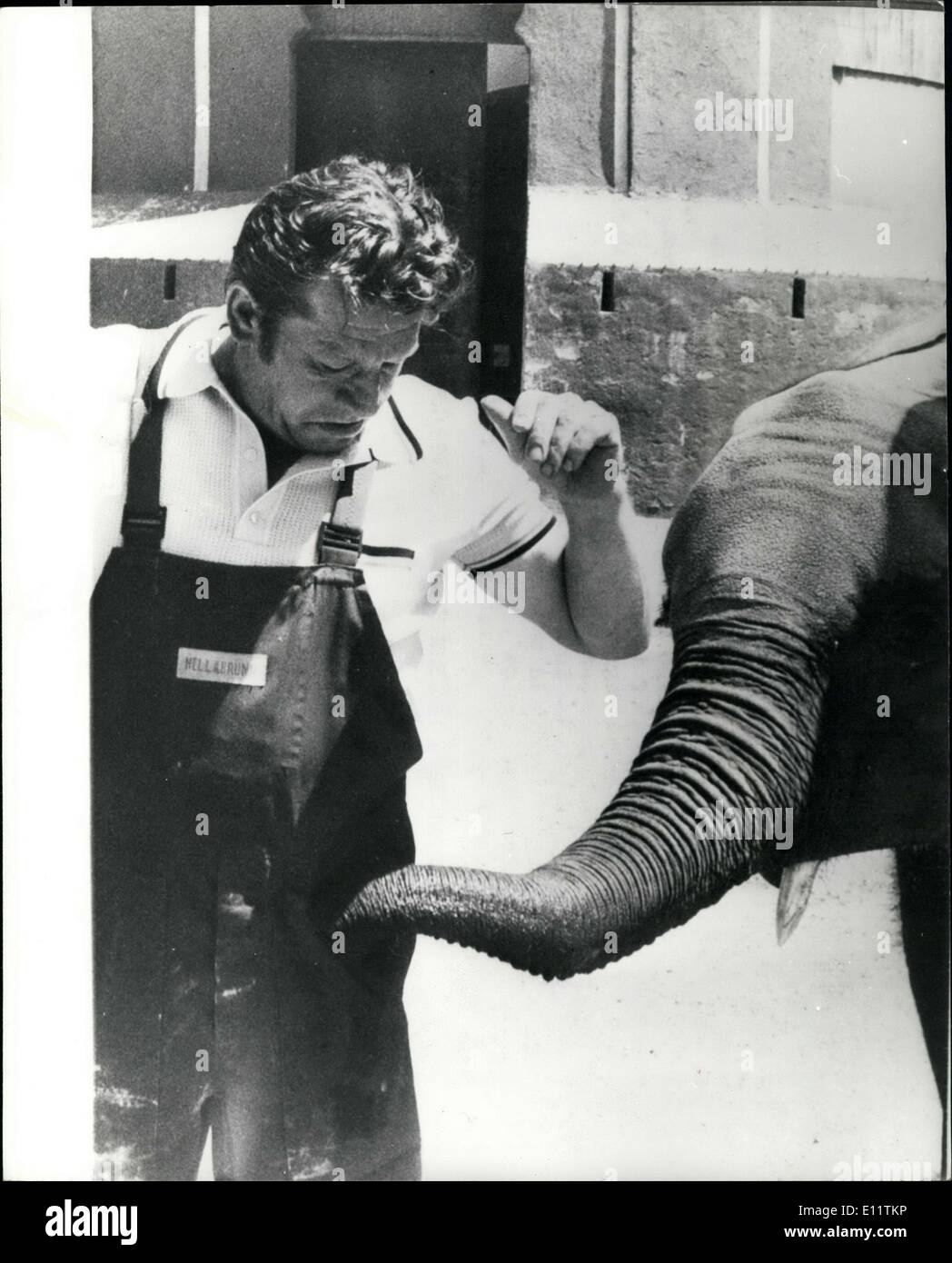 10. Dezember 1979 - Taschendieb Elefant: Elefanten machen kaum unauffällig Verbrecher aber dieses in einem deutschen Zoo hat Entwickler ein Stockfoto