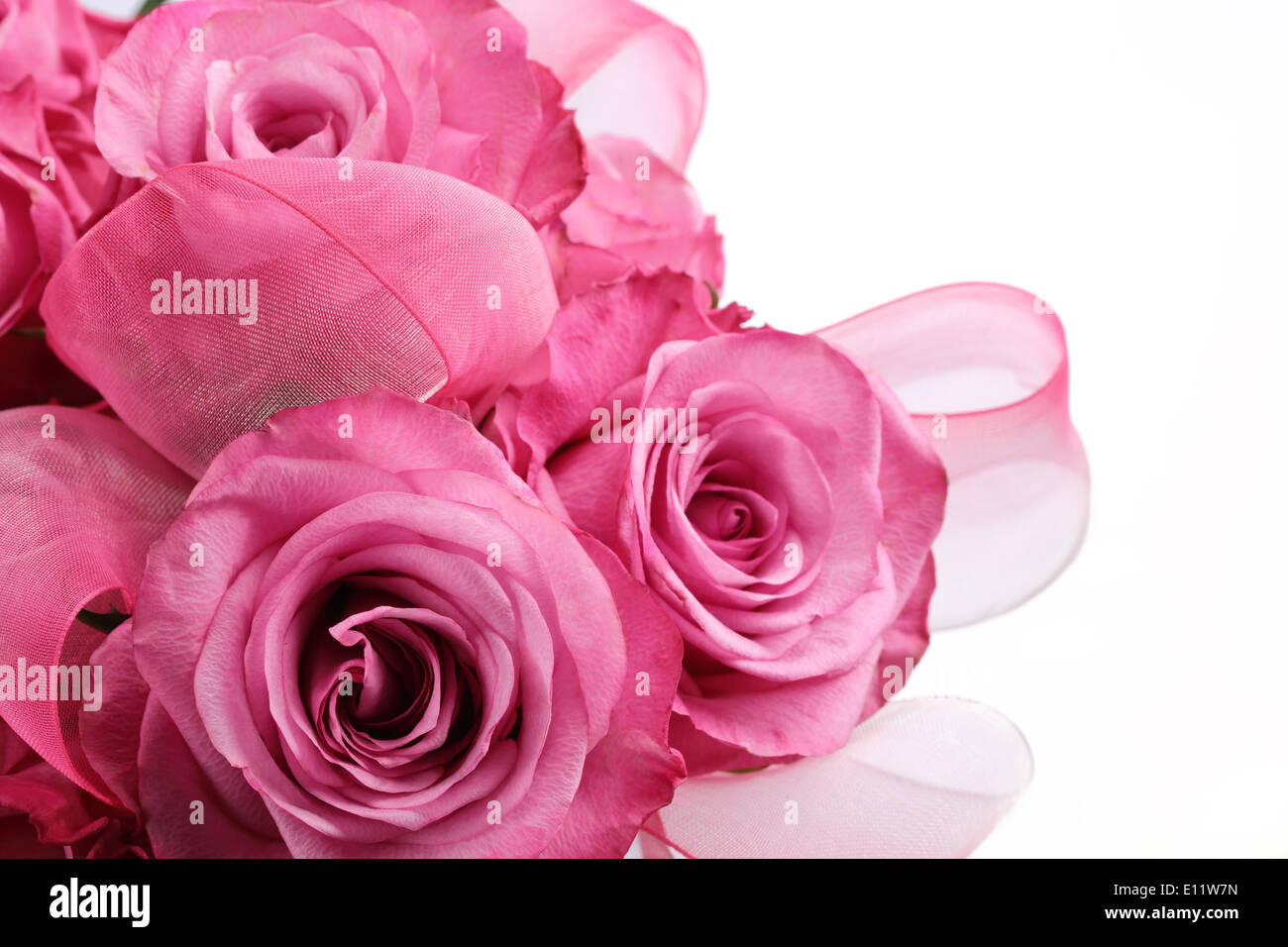 Bouquet von rosa rose, Nahaufnahme. Stockfoto