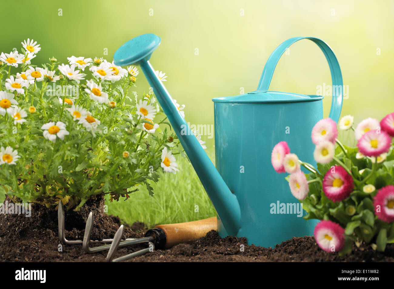 Gartengeräte und Blume Stockfoto