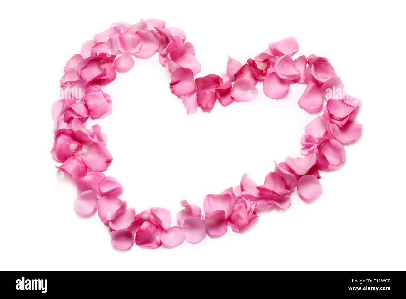 Herz aus rosa Rosenblüten, isoliert auf weiss. Stockfoto