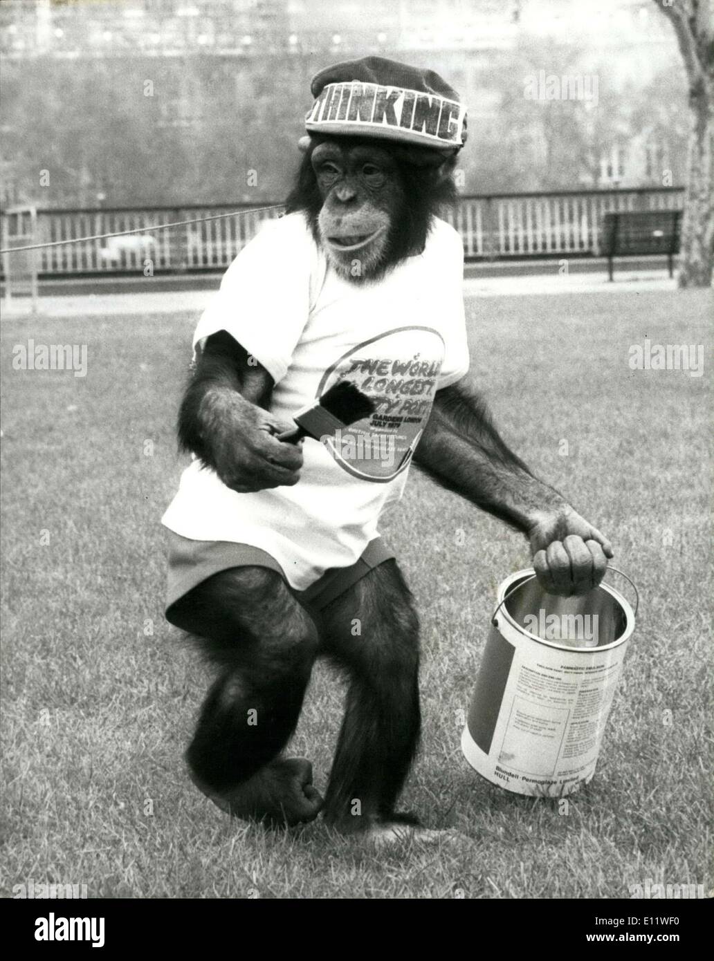 7. Mai 1980 - Schimpansen helfen im bundesweiten Gemälde Wettbewerb: Miki und Anthony waren die berühmten Tee-Schimpansen in Aktion Stockfoto