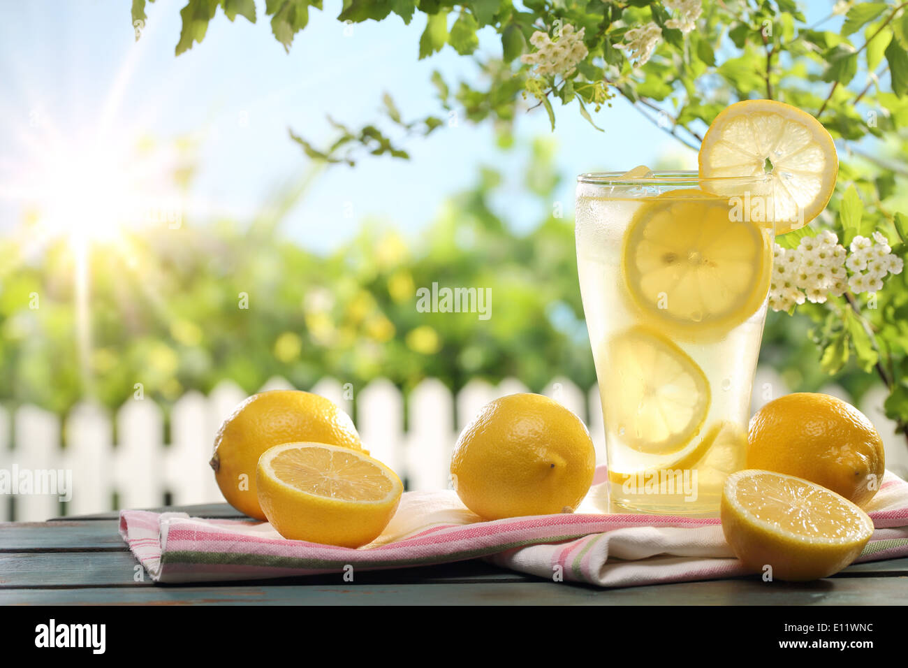 Zitrus-Limonade in Garten, Sommerdrink. Stockfoto
