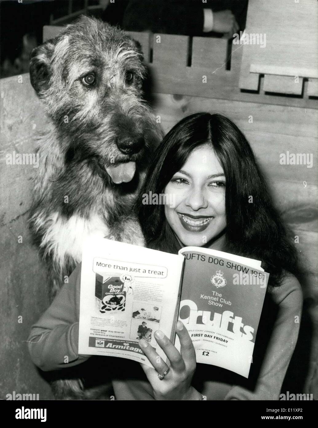 13. Februar 1981 - Dog 13. Februar 1981 Crufts Show. Lesley Cahill, 19, von London und ihr Hund Ã ¢ Â '¬ËœPoppy', ein irischer Wolfshund, Studium vor Beginn des Richtens am Eröffnungstag der Crufts Dog Show im Earls Court in London. Stockfoto