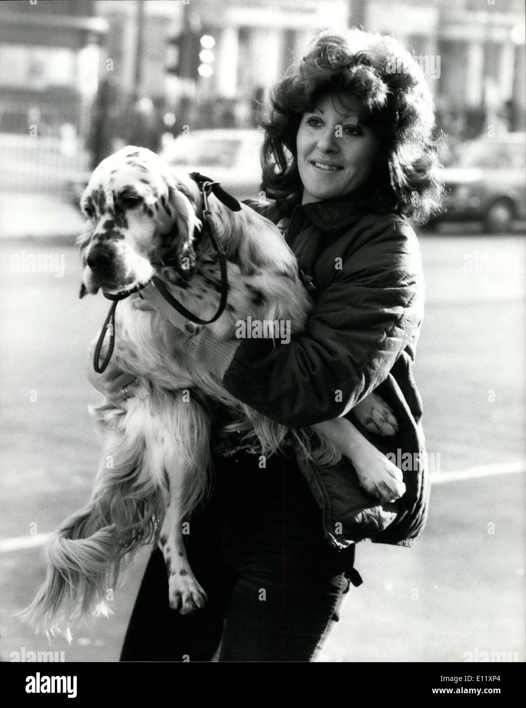 13. Februar 1981 - 13. Februar 1981 Crufts Dog Show öffnet am Earls Court. Die jährliche zweitägige Crufts Dog Show in Earls Court in London hat heute eröffnet. Foto zeigt: Mrs Sally Hanson gesehen mit ihrem Englisch Setter Ã ¢ Â '¬ËœMacAllister' heute Morgen ankommen. Stockfoto