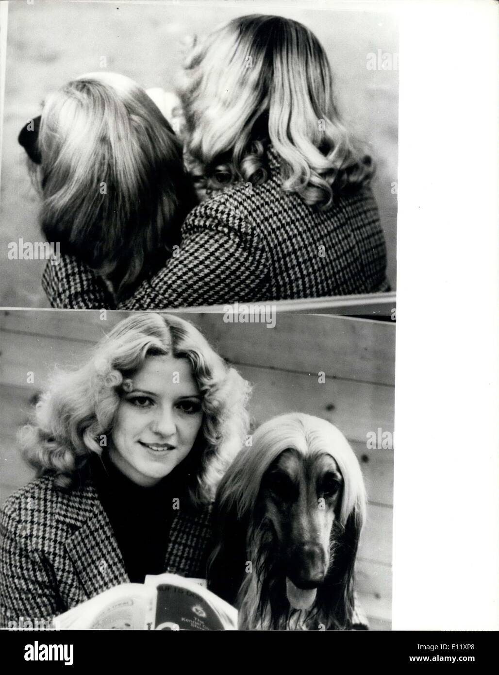 13. Februar 1981 - '' Wir sind nur gute Freunde? ": Linda Clewley, von Wolrarhamption, nahm ihre besten Freunde, die Curita Dog Show in Earls Court in London heute - und in diesen Tag lange Frisuren, von der Rückseite man nicht sagen Wetter ist es ein Junge ein Mädchen - aber in diesen Bildern, Sie wäre falsch-als Freunde, sie sitzt mit, ihrem Haustier Hund Ziggi" ein Afghane, der in der Sendung eingegeben wird. Foto zeigt "Junge Lovars" Linda Clewley und ihr Freund "Ziggi". Balg-Linda und Ziggi und ihr Afghanischer Windhund auf der Crufts Dog Show warten die Beurteilung zu starten. Stockfoto