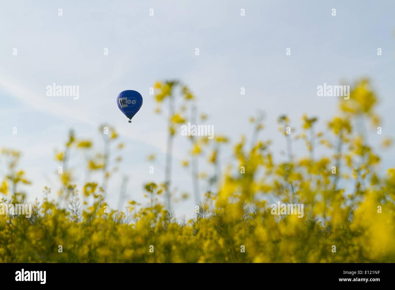 Blau Heißluftballon schweben über ein Feld von Raps in East Sussex, Großbritannien Stockfoto