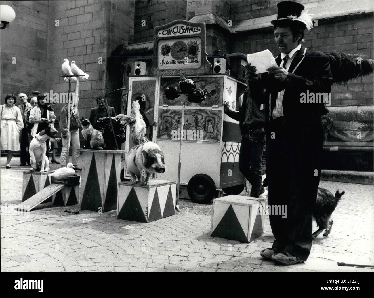 4. April 1984 - und die Katze wird nicht Bite The Mice: Stars der Show der Schweizer '' Circus Maus '', wahrscheinlich kleinsten Zirkus der Welt, sind diese Siamkatze und zwei Riesen-Mäuse, die mit Zirkus-Besitzer in bester Freundschaft durchführen. Auch sind Vögel, ein Hund, eine Ziege und ein Schwein. Gugelmann und seine '' Circus Maus '', stammt aus Basel, Schweiz, ist eigentlich durch die Schweiz reisen. Bild hat in diesen Tagen in Lausanne, Schweiz, wo er bis Mai 16 bleibt. Stockfoto