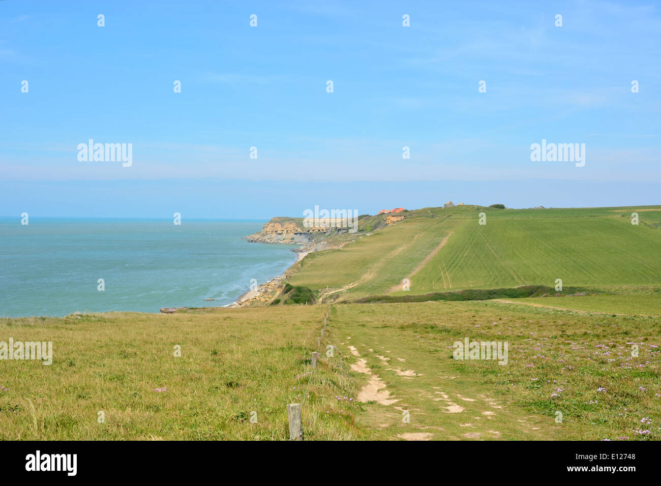 Klippen am Cap Gris-Nez, Côte Opale, Nord-Pas-De-Calais, Frankreich Stockfoto