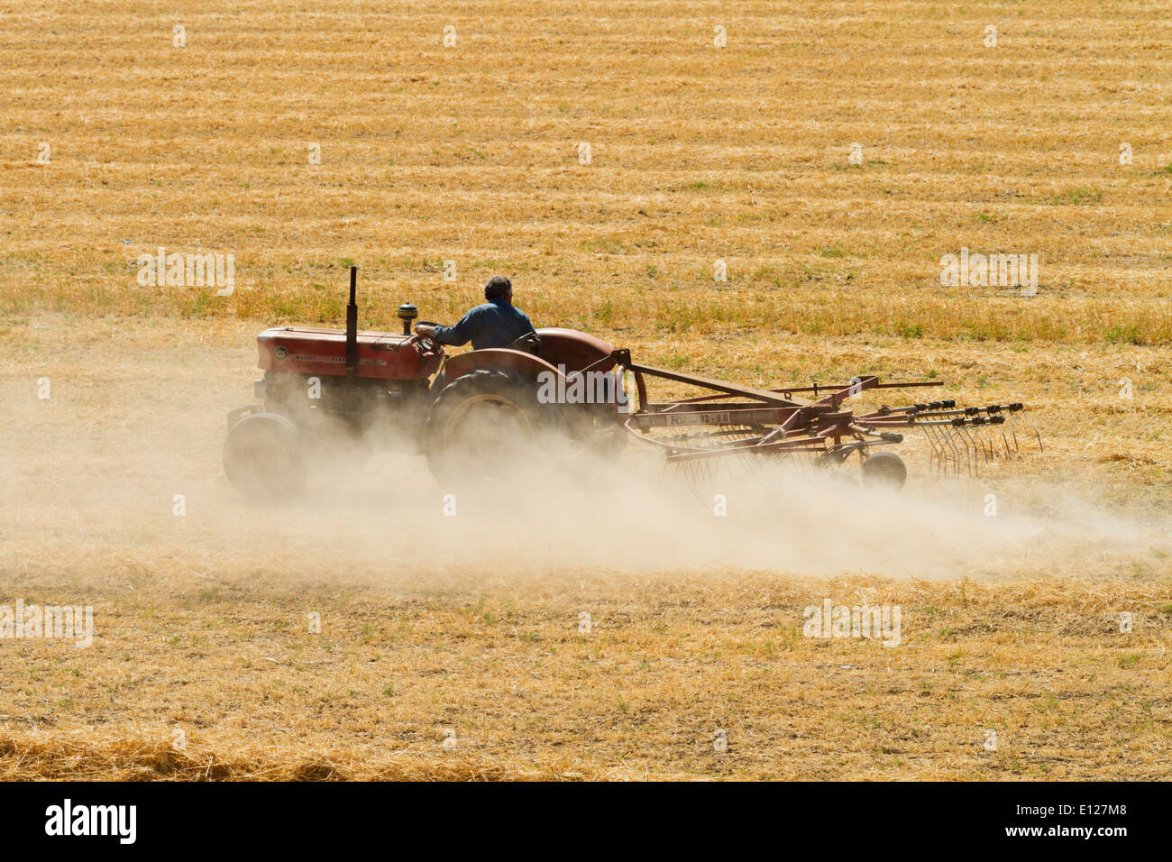 Zyprische Massey Ferguson Traktor Ernte Stockfoto