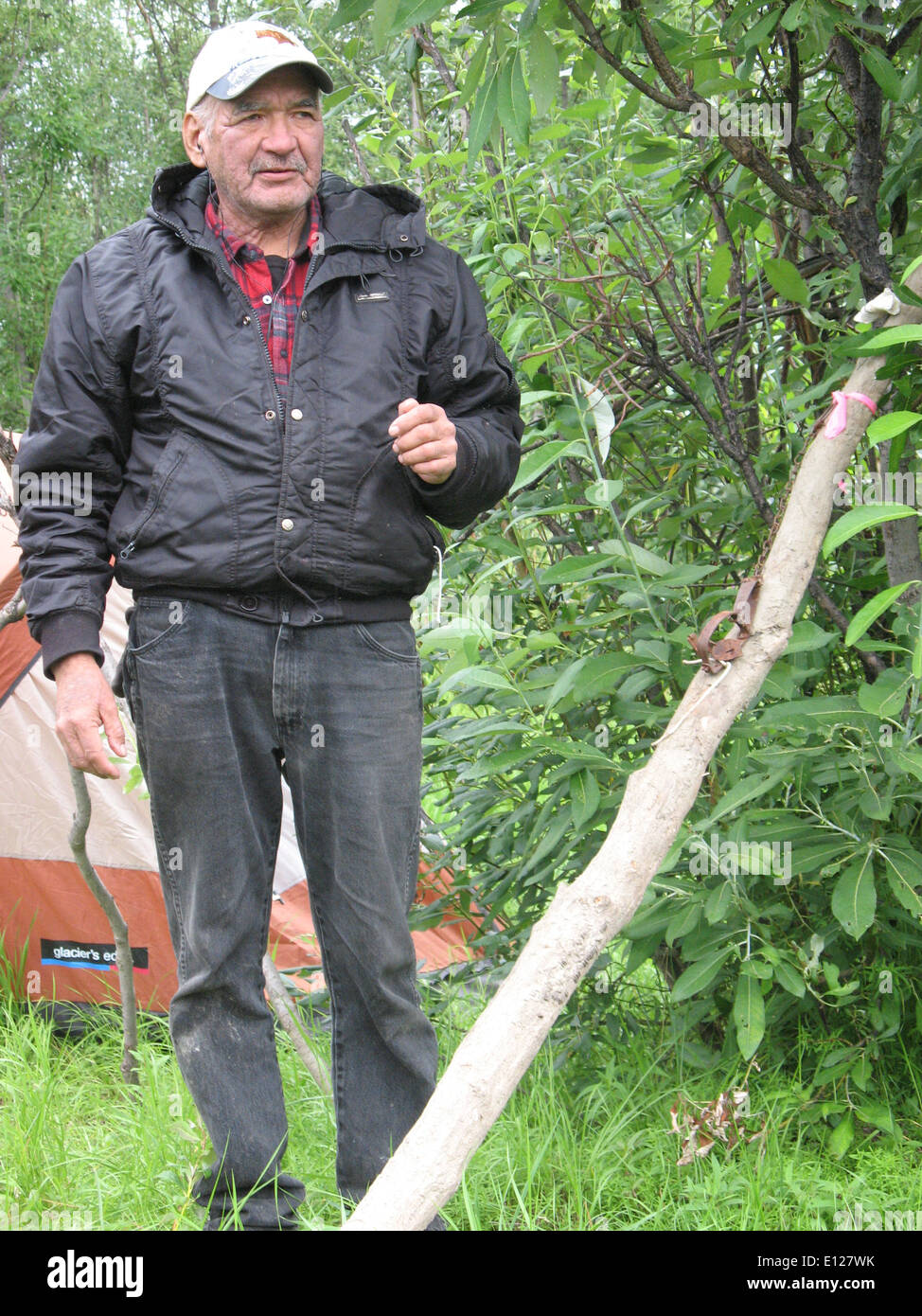 Pollock Simon, ein Bewohner von Allakaket, Alaska, lehrt traditionelle Fangtechniken, um das indigene Wissen zu bewahren. Dieses praktische Lernen hilft, kulturelle Praktiken für zukünftige Generationen am Leben zu erhalten. Stockfoto