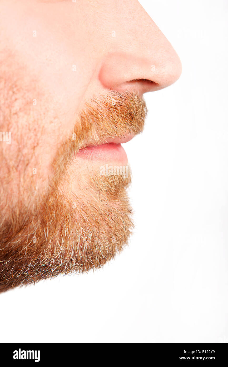 Gesichtsprofil eines Mannes mit Bart Stockfoto