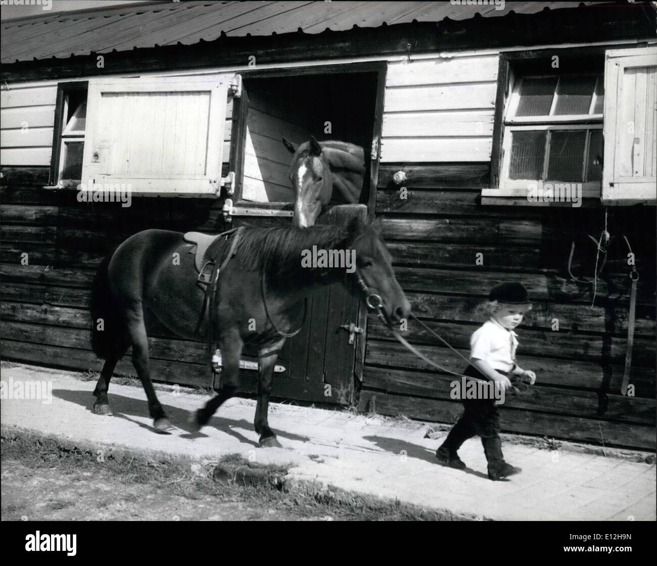 24. Februar 2012 - das Haus auf der Suche über die Stalltür sieht aus als ob er Lust hätte, für einen Ausflug zu gehen zu, wie er kleine Martin Brierley führenden Uhren sein Pony '' Dot'' vor ihre Reitstunde. Curiy Haaren Martin Wind Reiten Trophäen im Alter von zwei: Es ist keine sehr lange Zeit, die 2-j hrige Martin Brierley laufen gelernt, und schon hat er ein paar Posettes für seine Leistung in Gymkhana in der Nähe von seinem Haus in Salisbury Road, Worthing, Sussex gewonnen. Cuarly Haaren Martin hat geritten, da er 18 Monate alt war und das jüngste Mitglied der Crawley und Horsham Zweig der Pony Club ist Stockfoto