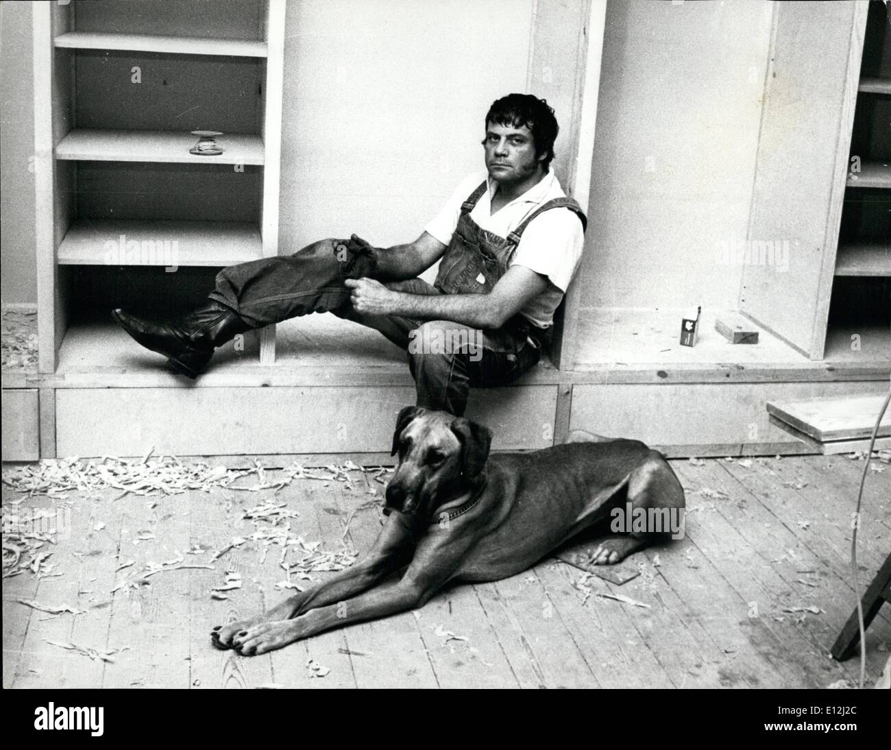 9. Januar 2012 - nehmen Oliver Reed und seine Dogge, Teere, eine Auszeit von der Arbeit in Broome Hall, inmitten der Holz-Späne. Stockfoto