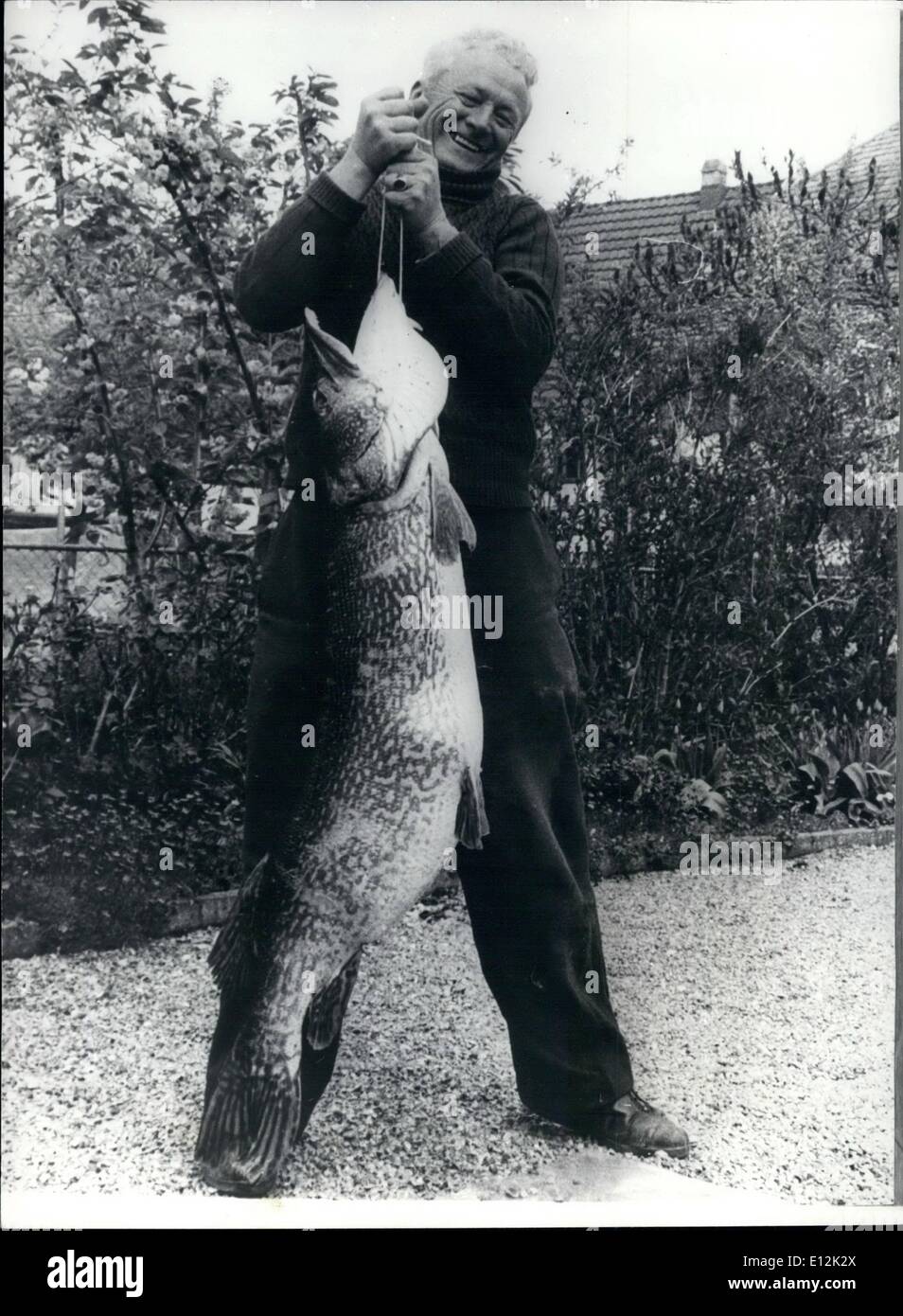 24. Februar 2012 - jemals größte Hecht gefangen, in der Schweiz: Fischer Emil Blattner von Ermatingen, in der Nähe von Zürich, fing diesen Hecht mit einem Gewicht von 43 Pfund die könnte in See Kenstanz und etwa 17 Jahre alt war. Stockfoto