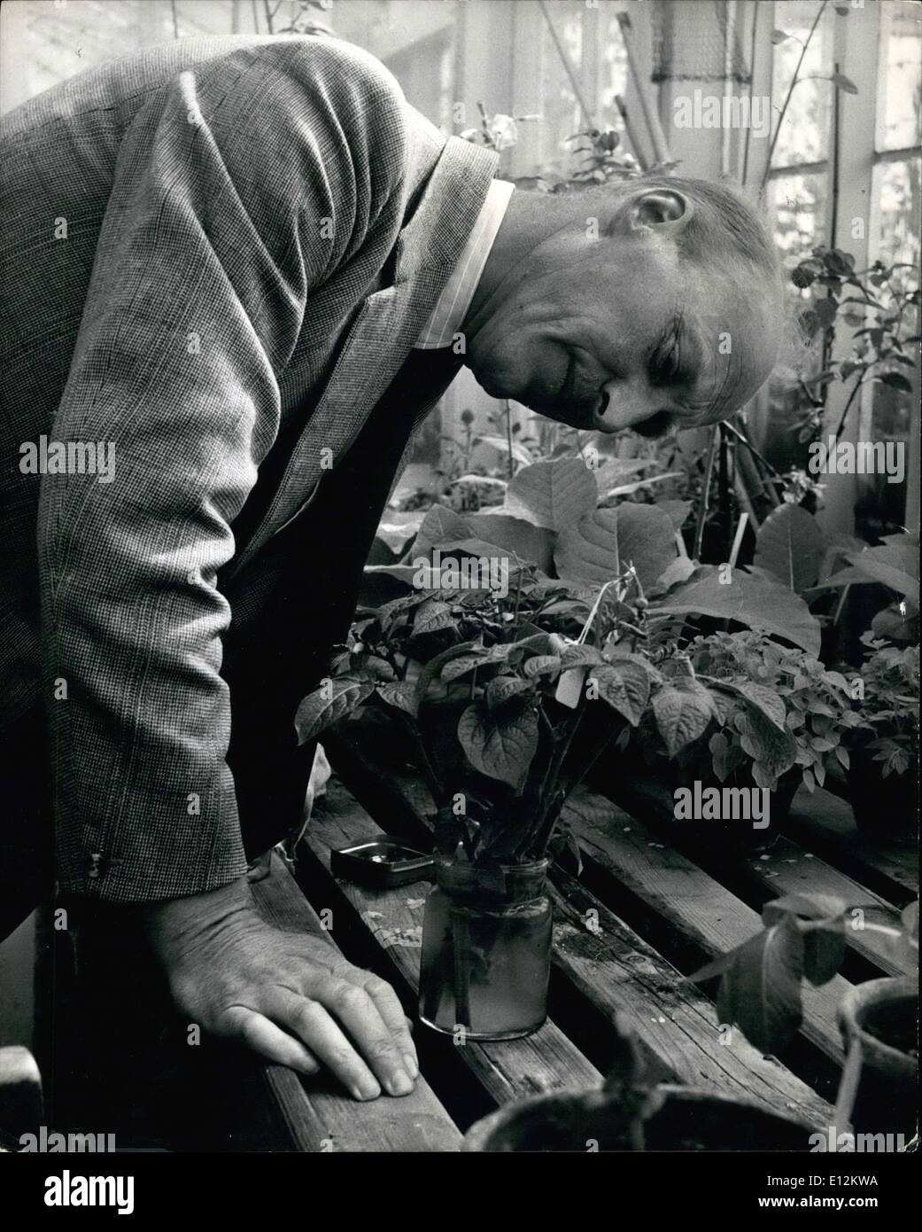 24. Februar 2012 - auf der Suche nach der perfekten Kartoffel. 15 Jahre Forschung für die perfekte Kartoffel: Schottland ist nach wie vor führend in Kartoffelzüchtung. Es war Dr. William Black Boghall Farm in der Nähe von Ediaburgh, Schottland. Wer entdeckt die weltweit beste und einwandfreie Kartoffeln im Jahr 1946 nach 20 Jahren daran zu arbeiten und nannte es '' Craigs Bounty'' noch erforscht weitergeht zum Counter Stunt Krankheiten in Kartoffeln und verschiedene seltsamen Krankheiten, die es Wirkung. Dr. Black setzt seine Forschungen mit anderen Experten wie Dr. G Stockfoto